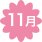 11月